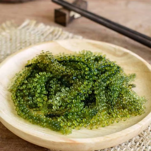 Sea Grape Fresh Marine Seaweed For Salad Sushi And Restaurant Use Vietnam Origin Bulk Packaging - Product Image 3