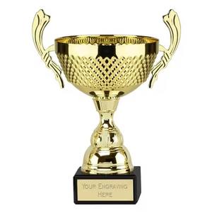 Copa de Trofeo de Metal Personalizada al por Mayor para Premios Escolares de Excelencia Académica Disponible a Precio de Exportación - Product Image 1
