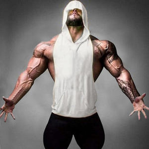 2018 hommes décontracté fermeture éclair sweat à capuche à la mode sans manches à capuche musculation débardeur Gym gilet gilet pour le sport - Product Image 6
