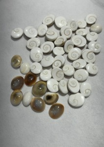 Piedra Natural Ojo de Shiva, Gomti Chakra, Ojo de Shiva, Precio al por Mayor, Piedra Preciosa de Concha Marina para Fabricación de Joyas - Product Image 5