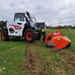 Cargadora Compacta Bobcat TL25.60, en Oferta, Envío a Todo el Mundo, Lista para Usar, Precio Accesible, Alta Calidad - Product Image 3