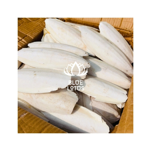 BLUE LOTUS Cuttlefish Bone Dried Clean Calcium Vitamin D3 E Immune Support Digestive Health Fast Absorption Safe Pet Supplement - Product Image 1