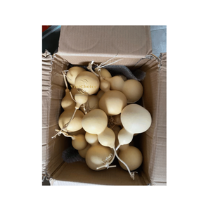 Bouteille DIY Souvenir Durable Cadeau d'entreprise Vietchoice Artisanat en calebasse séchée naturelle et biologique Forme naturelle Taille personnalisée - Product Image 1