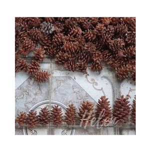 Pignons de pin naturels pleine grandeur, décorations de Noël, forme irrégulière, artisanat, style traditionnel, ornements en forme de fruits de pin - Product Image 1