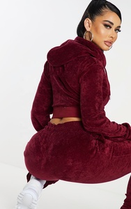 High Quality Custom Two-Piece Velvet <b>Ladies</b> Embroidered Eco-Friendly Hooded Tracksuit Set Breathable Streetwear Solid Color - Product Image 5