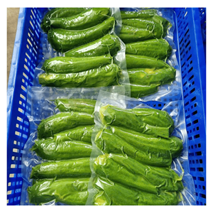 Cubes d'avocat congelés IQF Hass, matière première naturelle verte pour la production de smoothies, la préparation de desserts et l'utilisation dans les boissons, Vietnam - Product Image 5