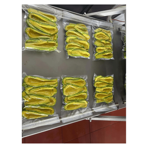 Avocat surgelé IQF – Fruit tropical vert de qualité supérieure – Fruit surgelé de qualité export - Product Image 3