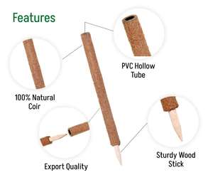Poste de coco unible, estaca de coco, soporte para plantas, poste de musgo, varilla de musgo, soporte de jardín - Product Image 3