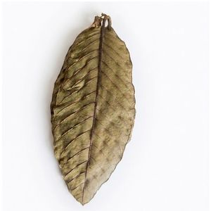 Hojas de Guayaba Secas Naturales Ecológicas YAMUNA de 11-15 cm/4 a 5 Pulgadas para Acuario, Paquete de 15 Hojas - Product Image 1