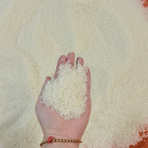 Riz Japonica en gros, riz à grains courts, riz blanc, RIZ ARROZ, prêt à l'exportation - Ms (Joice) - Product Image 2
