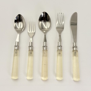 Juego de Cubiertos Reutilizables Ecológicos de Acero Inoxidable de Primera Calidad con Mango de Resina para Cocina, Hoteles, Restaurantes, Venta al por Mayor para Uso Doméstico - Product Image 3