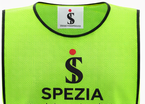 Custom Logo Soccer <b>Training</b> Pinnies Mesh Football <b>Bib</b> Vest for Youth Adult Team Practice - Product Image 5