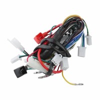Faisceau de câblage CDI et ensemble de stator personnalisés, directement de l'usine, compatibles avec les quads électriques ATV 50, 70, 90, 110, 125cc
