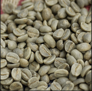 DHPONE Coffee Robusta S16 Green Coffee Beans AA Grade 100% Robusta 60kg PP/Jute <b>Bag</b> From Gia Lai Vietnam for <b>Roasting</b> - Product Image 1