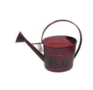 Arrosoir décoratif en fer fait main pour les plantes d'intérieur et les besoins d'arrosage du jardin extérieur - Product Image 6