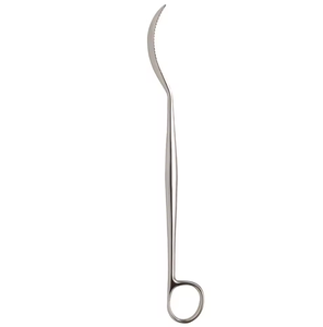 Levier osseux Lane, petit, simple, avec crochets orthopédiques, instrument chirurgical médical pour traumatologie, porte-aiguille, instruments orthopédiques, levier osseux - Product Image 1