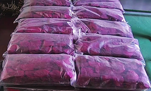 ก้อนแก้วมังกรแช่แข็งพร้อมใช้ความสดใหม่ที่เก็บรักษาไว้100% บรรจุสดใหม่ตามธรรมชาติสำหรับคุณ - Product Image 6