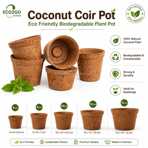 Eco2Go Vietnam Eco-Luxury Coco Fiber Garden Liner - Handcrafted Seagrass & Coir Pot for Indoor & Outdoor Horticulture - Product Image 6