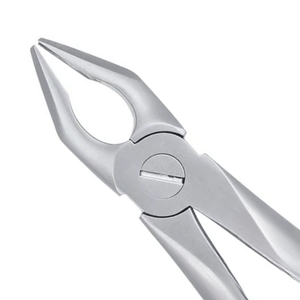 Pinzas de Extracción Atraumática para Incisivos Superiores Apicales, de Acero Inoxidable, Instrumento Quirúrgico Dental para Extracción de Dientes, Cirugía Oral - Product Image 6