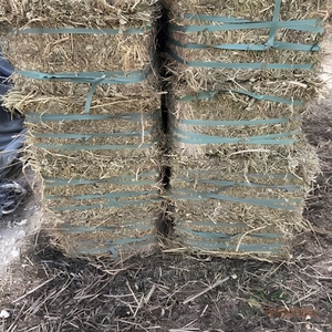 Paja de cacahuete fresca para alimentación animal con pacas de heno para granjas lecheras y compradores mayoristas - Product Image 3