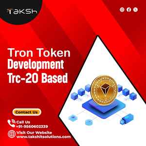 Professional Frontend Development Services Company - Product Image 1