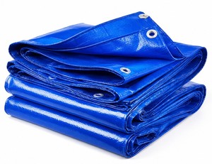 Bâche en PE robuste Jirawala Parshwa Engineering LLP, bâche polyéthylène imperméable et résistante aux UV, tissu pour l'agriculture, provenant du Gujarat - Product Image 1