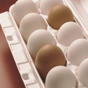 Huevos de Gallina Marrones Congelados de Alta Demanda 2026 para Almacenamiento, Proveedores de Servicios de Alimentación en Puerto Rico, Tiendas Minoristas, Venta al por Mayor Internacional - Product Image 6