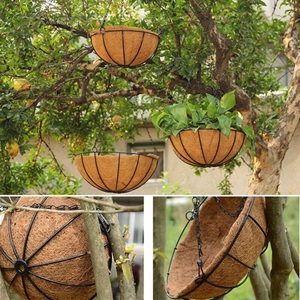 Recipiente de plantación de cáscara de coco biodegradable, perfecto para el arranque de semillas y jardinería, exportado desde Vietnam - Product Image 5