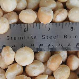 Prix bas, haute qualité de noix de macadamia, emballées sous vide, produit de noix de qualité supérieure 2025 - Product Image 5