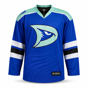 Wholesale Sublimated Pro Ice Hockey Shirt Custom Dravelle Style Teamwear Premium OEM Performance Jersey - Product Image 2