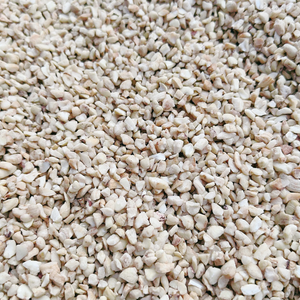 Origin Vietnam Broken Cashew <b>Nuts</b> <b>Kernels</b> Kaju Badam Split Cashews SANTIGO - Product Image 5