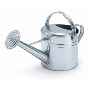 Arrosoir en métal galvanisé pour le jardinage, outil durable pour l'entretien des plantes d'intérieur et d'extérieur, arrosoir de jardin de style campagnard - Product Image 1
