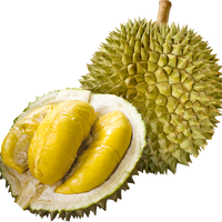 Premium hoogwaardige verse durian uit Vietnam - Kim Minh International merk, stabiele bulklevering voor wereldwijde importeurs