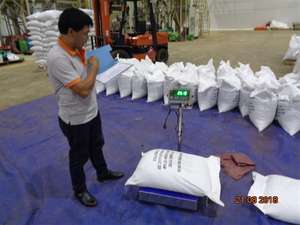 พริกไทยดำอบแห้ง + 84 35 9169566จากผู้ผลิตที่เชื่อถือได้ในเวียดนาม - Product Image 4