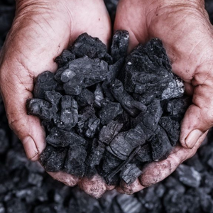 Charbon de tamarin de bonne qualité pour griller la viande au barbecue, pour des résultats parfaitement cuites et des plats délicieux. - Product Image 1