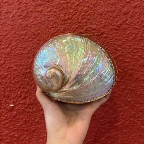 เหลืองอ่อน