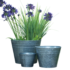 Pot de fleurs en métal galvanisé au design unique avec plante pour jardin, utilisation extérieure, fait main. - Product Image 4