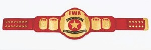 Wholesale Custom Boxing MMA Jiu-Jitsu <b>Wrestling</b> Championship <b>Belt</b> Pure Leather Strap Premium Metal Plates High Waist Design - Product Image 2