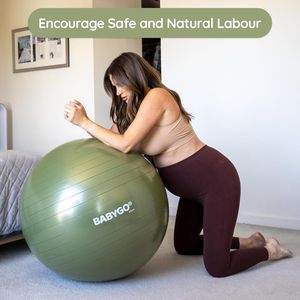 Set di Palloni per il Parto, per Esercizi Durante la Gravidanza e Recupero Post-Parto, Palla Yoga Mirata per Ogni Trimestre, Libro di Istruzioni, Fisioterapia Post-Parto - Product Image 4