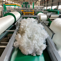 Precio Económico, Certificado ISO 9001/OEKO-TEX, Fibras de Poliéster PET 3D Finas, Fibra Corta de Poliéster 3D HCS Blanca Reciclable Vikohasan Spinning