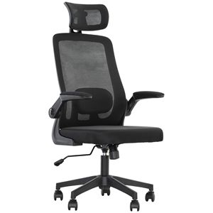 Sedia da Ufficio Ergonomica con Base in Rete di Nylon, Braccioli Ribaltabili, Poggiatesta Girevole, Supporto Lombare Regolabile - Sedia da Scrivania Nera - Product Image 1