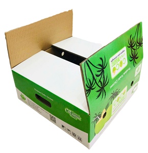 2-Sided Waterproof UV Coating Recycled Materials 5-Layer Corrugated Paperboard Food-Safe Vietnam Coconut Carton Box Agricultural - Product Image 6