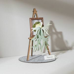 Kit de manualidades de papel en miniatura 3D de alta calidad, creativo para siempre verde 4R Platyceriuml, juguetes de papel, pensamiento de arte personalizable - Product Image 1