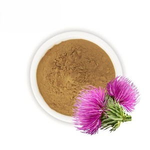 Polvo de Cardo Mariano Más Vendido, Ideal para Mezclas Herbales y Bebidas, Polvo de Cardo Mariano Seco Naturalmente, Proveedor de la India - Product Image 1