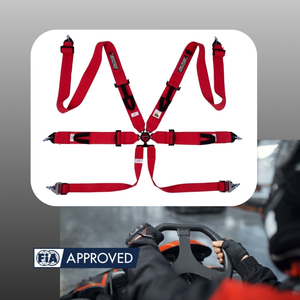 Cinturón de Seguridad Profesional para Automovilismo de 6 Puntos con Bloqueo de Leva y Servicio de Logotipo Personalizado, Certificado FIA, Producción en Taiwán - Product Image 1