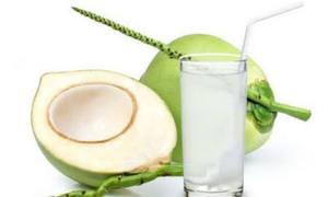 Proveedor de Ingredientes para Bebidas de Agua de Coco Joven Congelada - Product Image 3
