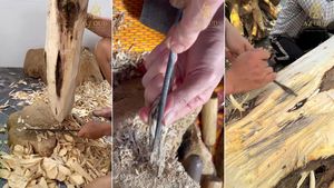 Copeaux d'agarwood de style rare Royal Aroma, Vietnam |   Copeaux d'Oud vietnamien de qualité supérieure, arôme royal - Product Image 4