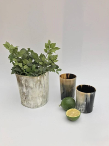 Vaso de cuerno de búfalo natural de primera calidad hecho a mano con revestimiento exterior brillante para festivales por decor world - Product Image 4