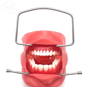 Retractor Bucal Manual de Acero Inoxidable con Certificación CE y Garantía de por Vida para Uso Ortodóntico - Product Image 1