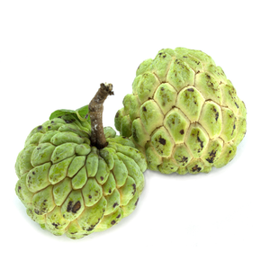 supplier high quality good price wholesales fresh custard apple